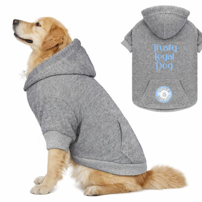 Dog Hoodie